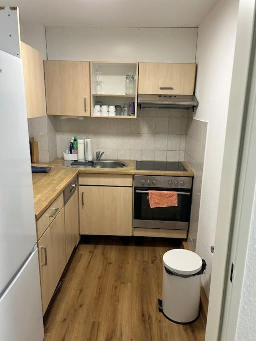 2 Zi Whng Stadtmitte Apartment Lorrach