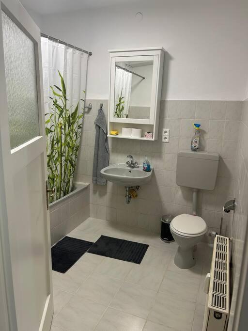2 Zi Whng Stadtmitte Apartment